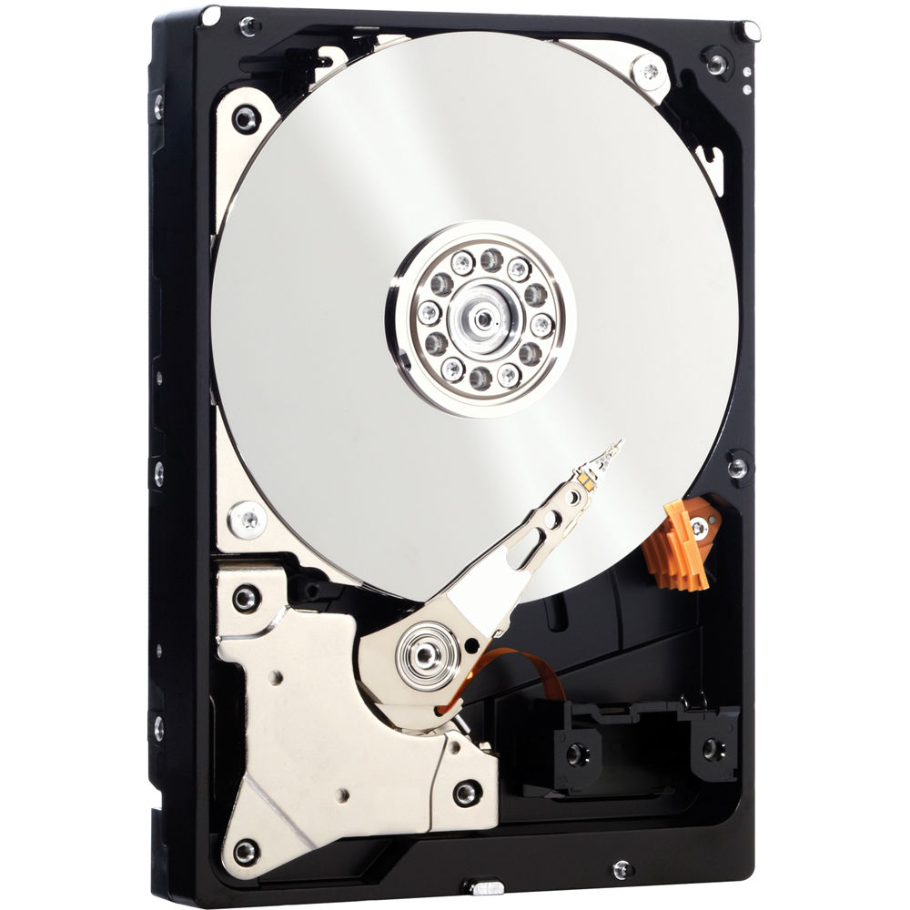 HGST WD3000FYYZ